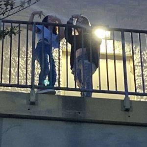 Meet your Posher, Rayne